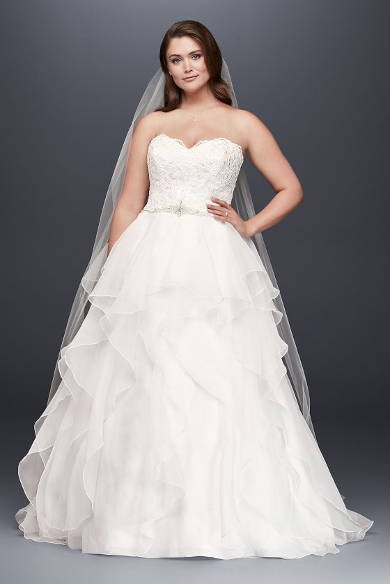 Lace and Organza Plus Size Ball Gown Wedding Dress Collection 9WG3830 [9WG3830]