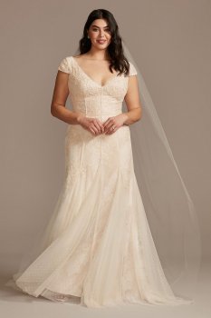 Cap Sleeve Point DEsprit Tall Plus Wedding Dress Melissa Sweet 4XL8MS251230