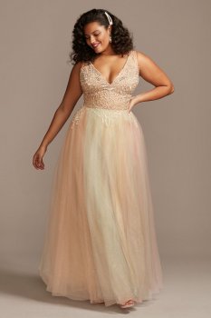 Embellished Illusion Multi-Color Plus-Size Gown 2011P1012W