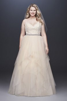 Tulle Plus Size Tank Ball Gown with Layered Skirt 9WG3913