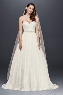 Lace Sweetheart Wedding Ball Gown Collection WG3829