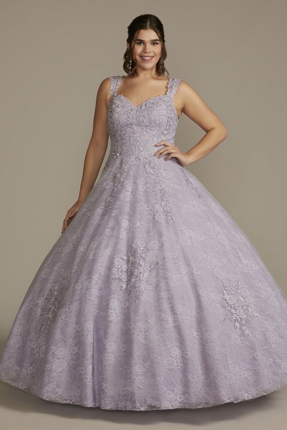 Lace Applique Semi-Cap Sleeve Plus Quince Gown Fifteen Roses 8FR2203