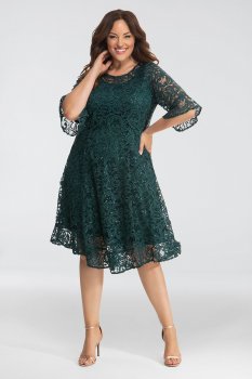 Sofia Sequin Lace Plus Size Dress 13182508