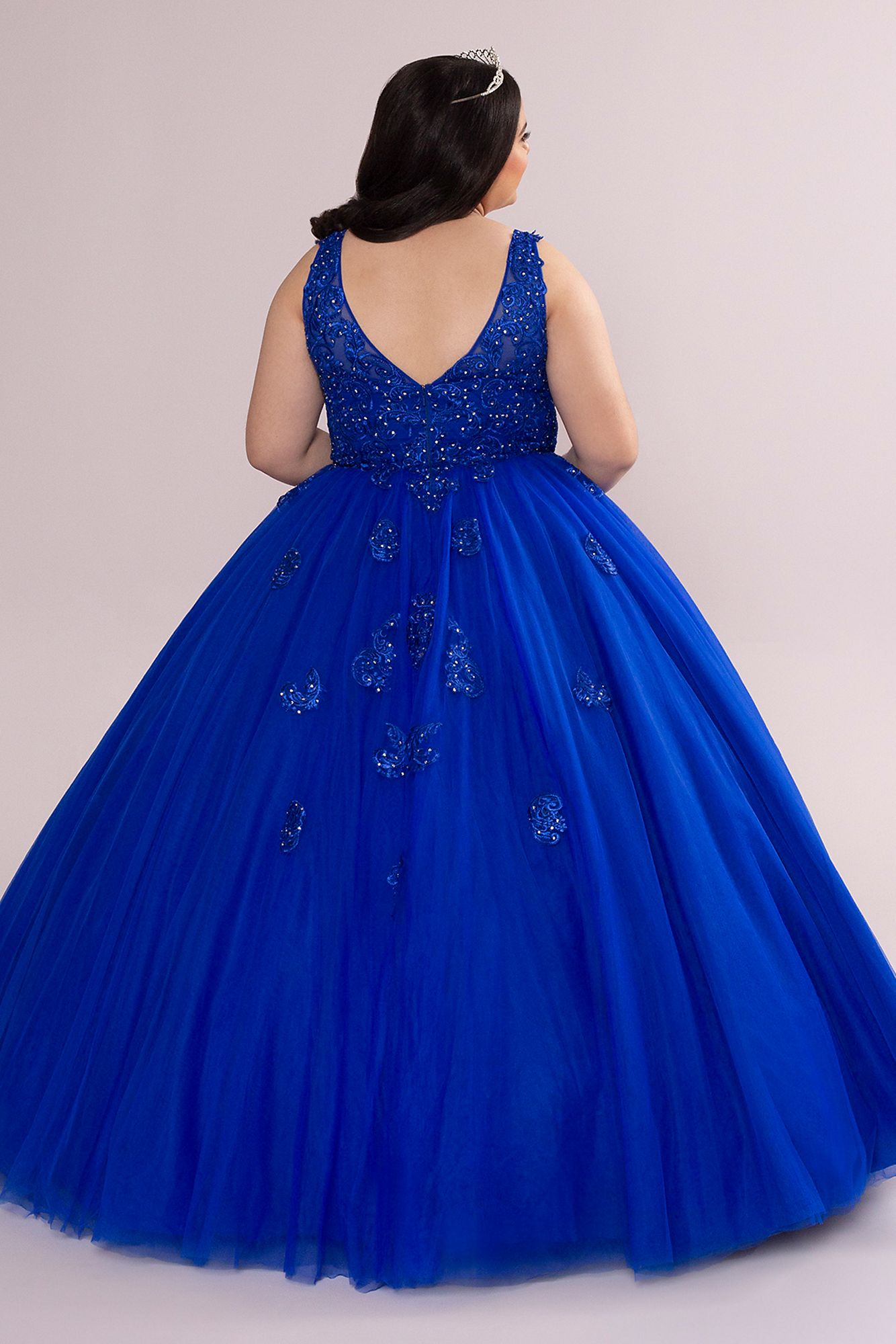 Plus Fairytale Ball Gown with Lace Applique Fifteen Roses 8FR2103